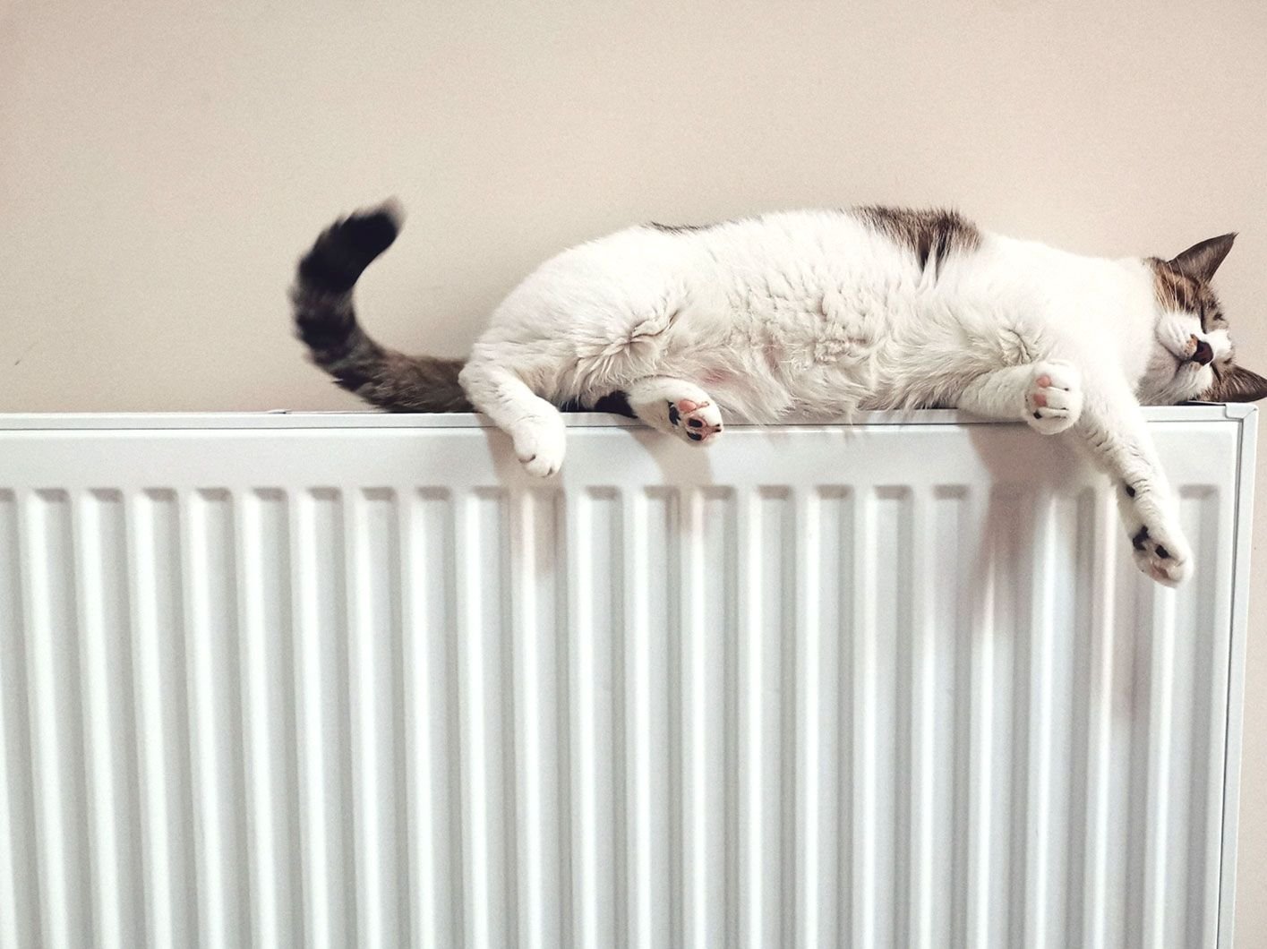 Cat On A Radiator central-heating-content-image